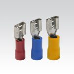 سرسیم فیشی مادگی